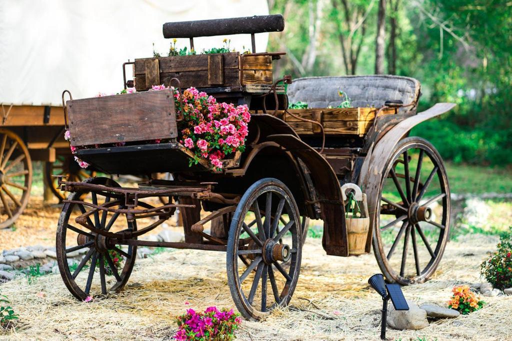 Cozy Wild West Covered Wagon Next To River グランツ・パス エクステリア 写真
